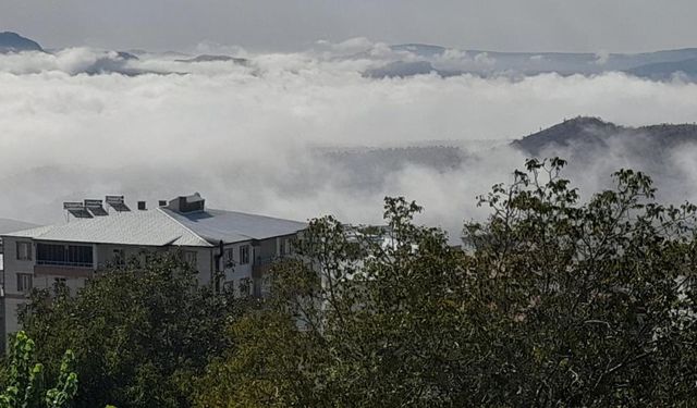 Diyarbakır'da yoğun sis