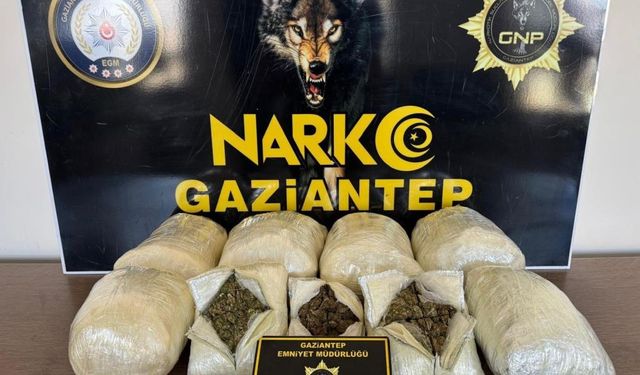 Gaziantep’te 5 kilo skunk ele geçirildi