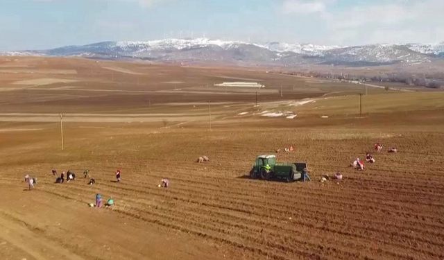 TARSİM'den Çiftçilere Yönelik Destek: Poliçelerde %10 İndirim