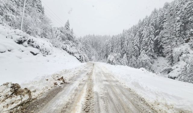 21 Köy Yolu Kar Nedeniyle Ulaşıma Kapandı