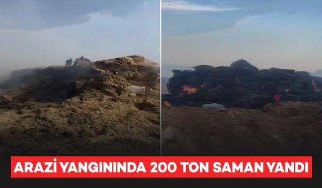 Silvan’da arazi yangını: 200 ton saman kül oldu