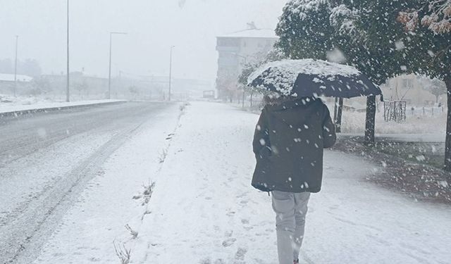 Bitlis'te yoğun kar yağışı