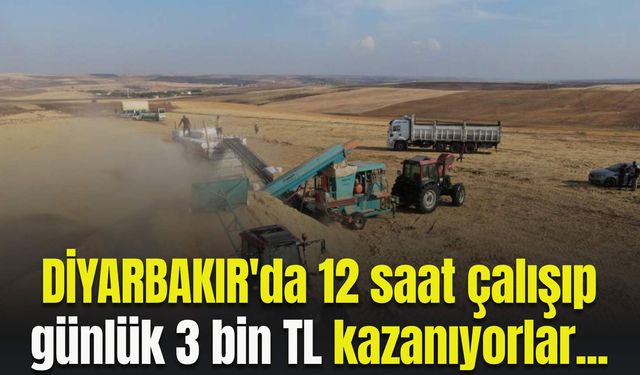 Diyarbakır'da 12 saat çalışıp günlük 3 bin TL kazanıyorlar