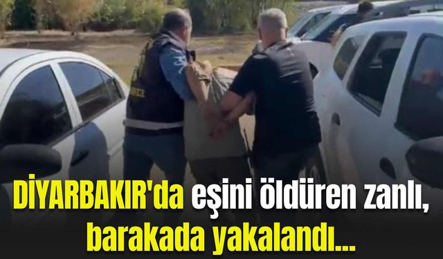 Diyarbakır'da eşini öldüren zanlı, barakada yakalandı