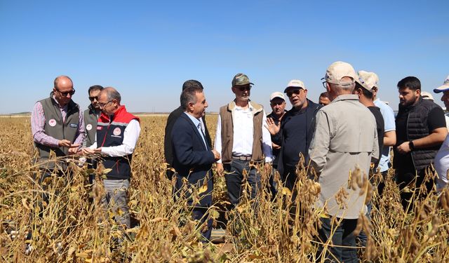 Diyarbakır Çınar’da soya hasadı