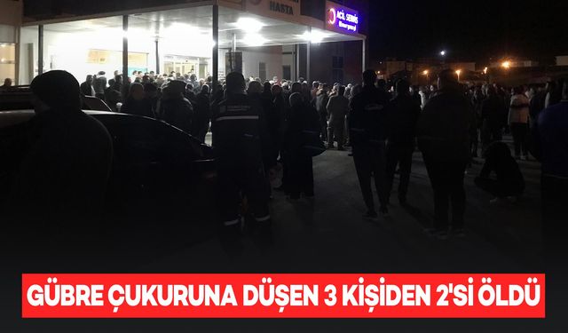 Gübre çukuruna düşen çobanı kurtarmak isteyen 2 kişi öldü, çoban ağır yaralandı