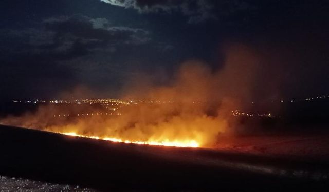 Siirt’te anız yangını