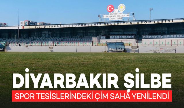 Diyarbakır Şilbe Spor Tesislerindeki Çim Saha Yenilendi