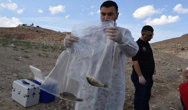 Uzman ekip, Dicle Nehrindeki balık ölümlerini araştırıyor