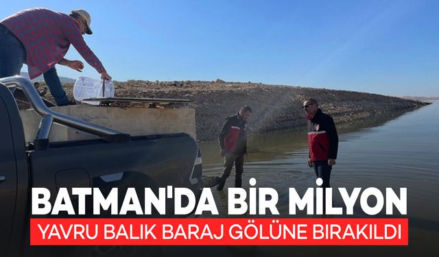 Batman'da Bir Milyon Yavru Balık Baraj Gölüyle Buluştu