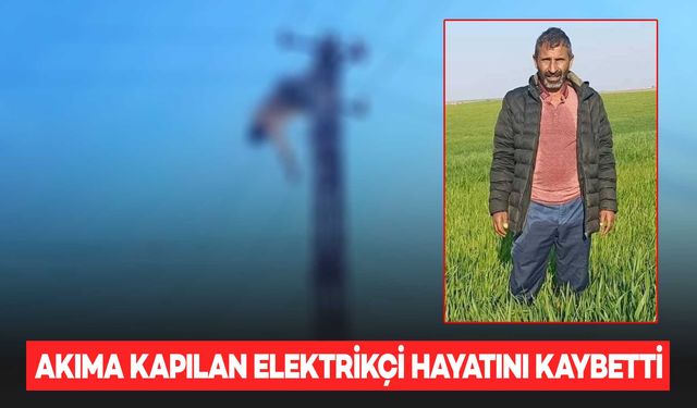 Arızayı gidermek için çıktığı elektrik direğinde akıma kapılarak öldü