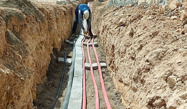 Dicle Elektrik: Siirt’te rekor kırdık!