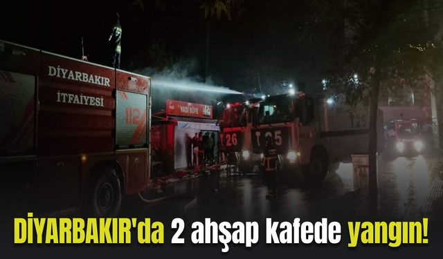 Diyarbakır'da 2 ahşap kafede yangın!