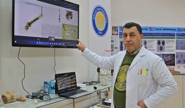 Diyarbakır’da profesörden uyarı: Mevsim değişti, sayıları artabilir