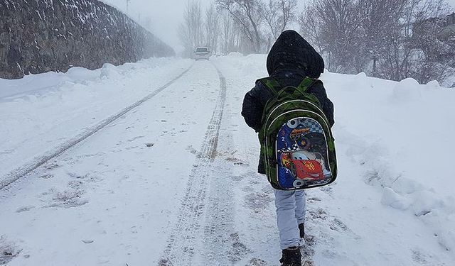 Elazığ'da Kar Tatili: Eğitime Ara Verildi