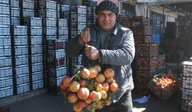 Siirt'in Meşhur Meyvesi Zivzik Narı Tüketicilerle Buluştu