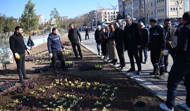 Bismil’de parklara mevsimlik çiçek ekildi