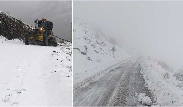 Diyarbakır’da kar yağışı nedeniyle kapanan yollar ulaşıma açıldı