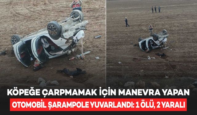 Köpeğe çarpmamak için manevra yapan otomobil şarampole yuvarlandı: 1 ölü, 2 yaralı