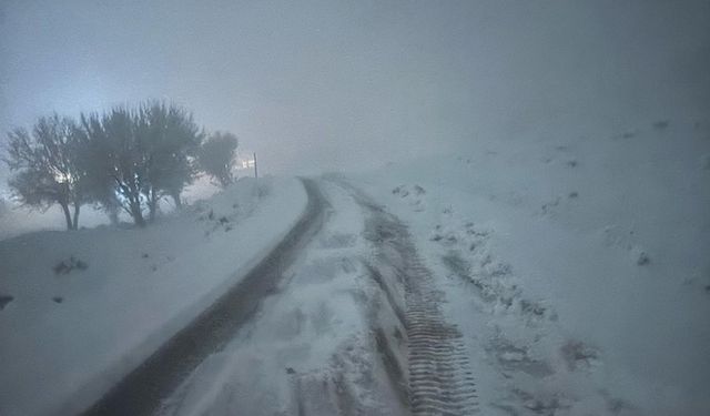 Mardin’de Kar Engeli Aşıldı: 20 Mahallenin Yolu Açıldı