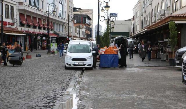 Diyarbakır’daki Tarihi Mekanlarda Başıboş Köpek Endişesi