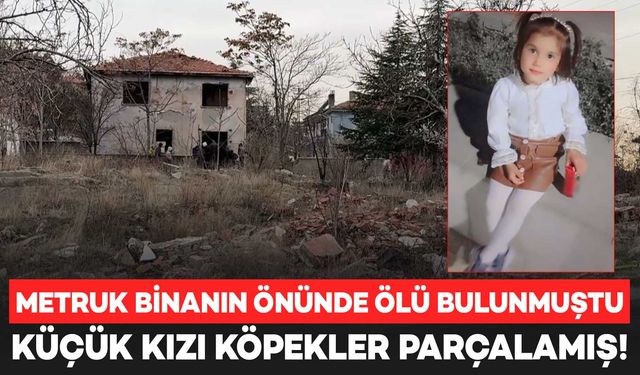 Metruk binanın önünde ölü bulunmuştu: Küçük kızı köpekler parçalamış!