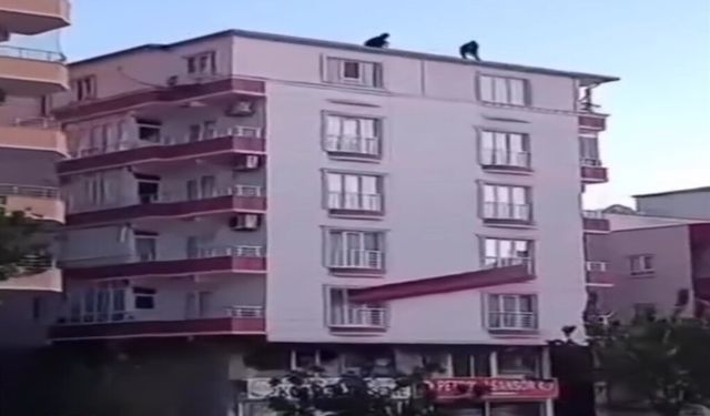 7 Katlı Binada Tehlikeli Anlar: Güvensiz İndirme Kamerada
