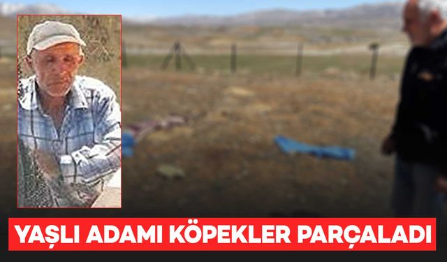 Çoban köpeklerinin saldırısına uğrayan 72 yaşındaki adam hayatını kaybetti
