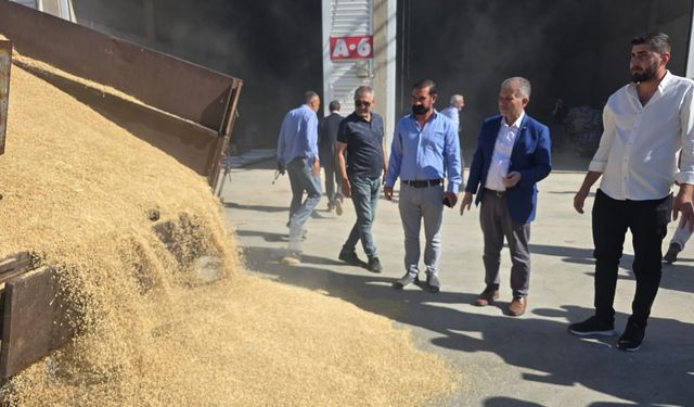 Mardin’de Sezonun İlk Arpa Hasadı Gerçekleşti