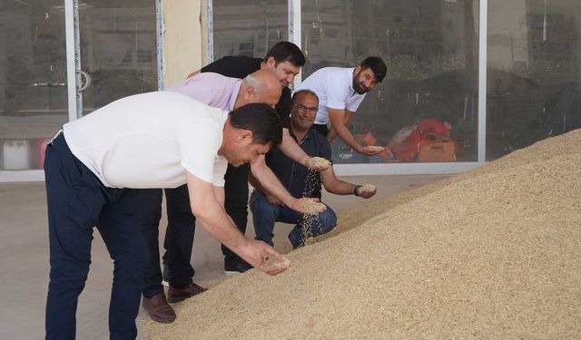 Diyarbakır’da ilk arpa ve mercimek ürünleri Buğday Pazarı’na geldi: İşte fiyat ve rekolte