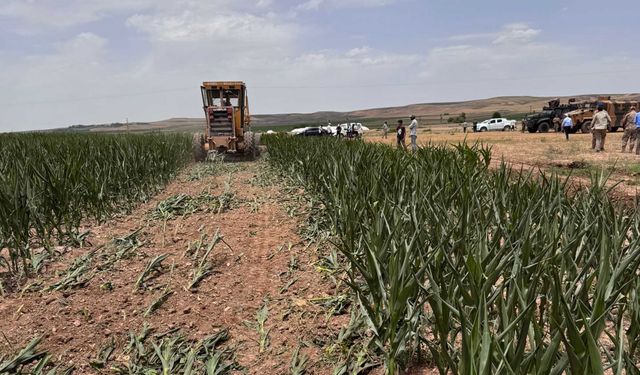 Bismil’de işgal edilen 400 dönüm mera alanı geri alındı