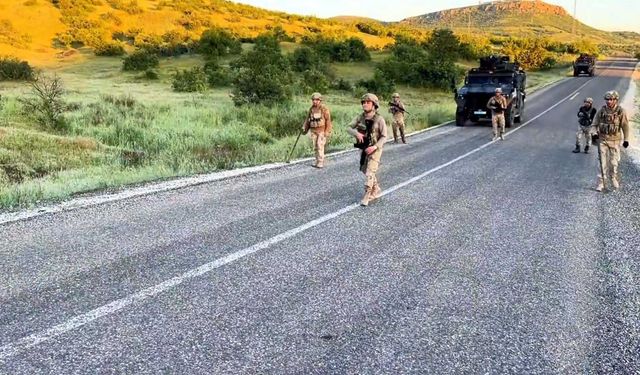 Diyarbakır'da 7 milyon 543 bin 818 kök kenevir ele geçirildi