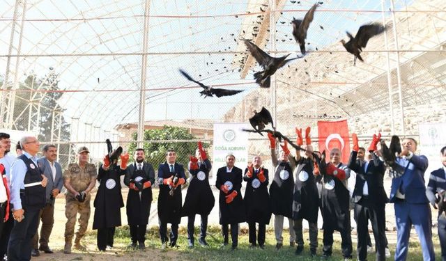 45 Kelaynak Göç Yolculuğu İçin Doğaya Salındı