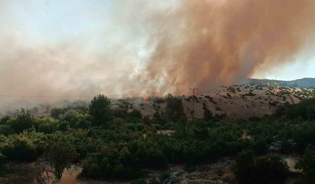 Diyarbakır’da korkutan yangın: Yerleşim yerlerine yaklaşıyor
