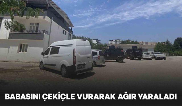 Diyarbakır’da oğul, babasını çekiçle vurarak ağır yaraladı