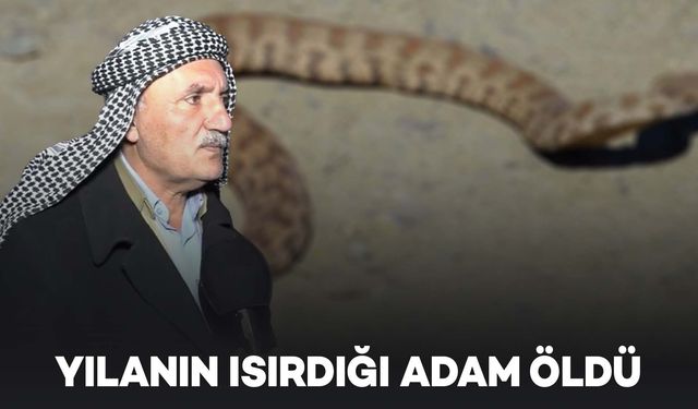 Şırnak'ta yılan tarafından ısırılan adam öldü