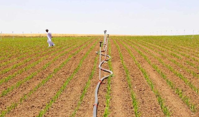 Dicle Elektrik: Bilinçsiz Sulama Enerji Şebekesini Zorluyor
