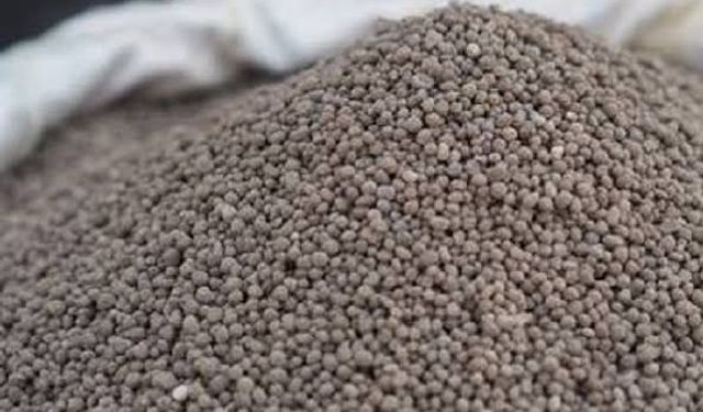 Fosfatlı gübre fiyatlarındaki artış Dap 18/46 gübre fiyatı 33,00 TL’yi geçti. Peki neden?