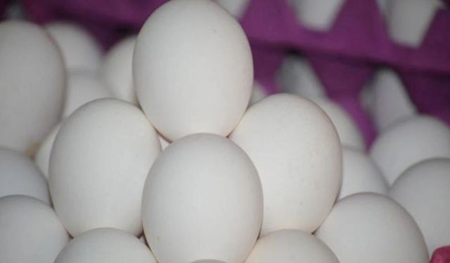 Yumurta ucuzladı: 30’lu kolide fiyat 100 TL’ye kadar düştü