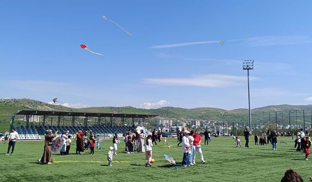 Diyarbakır'da Uçurtma Şenliği Renkli Görüntülere Sahne Oldu