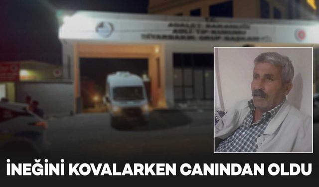 Diyarbakır’da inek kovalamacası can aldı