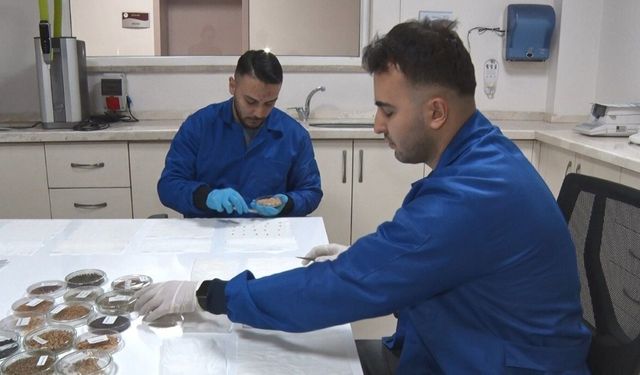 İran gerilimi sonrası gözler gıda güvenliğine çevrildi: Türkiye gen bankalarıyla hazırlıklı