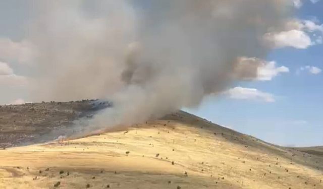 Diyarbakır'da Bin Dönüm Buğday, Arpa ve Mercimek Alanı Yandı GÖRÜNTÜ: KAMERADA