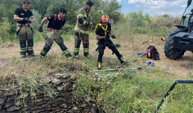 Diyarbakır Kuyuya Düşen Yaban Domuzu Kurtarıldı