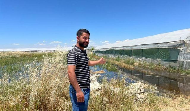 Balpınar’da Sağanak ve Baraj Suları Tarım Arazilerini Yuttu