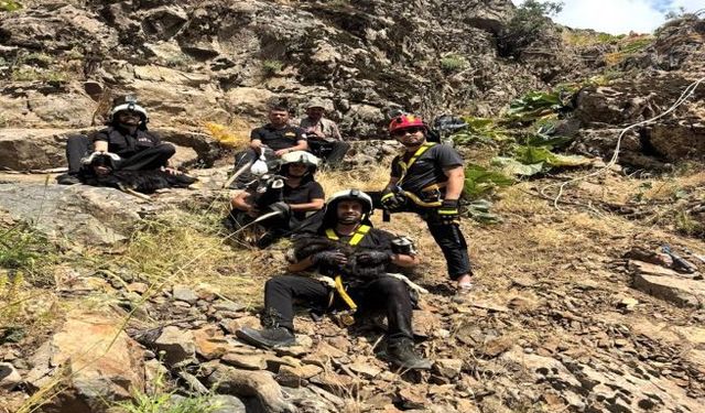 Diyarbakır'da Kayalıklarda Mahsur Kalan Oğlaklar Kurtarıldı
