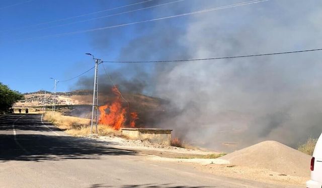 Elektrik Akımına Kapılan Karga Alev Alarak Bahçeye Düştü