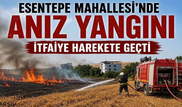 Esentepe Mahallesi'nde Anız Yangını: İtfaiye Harekete Geçti