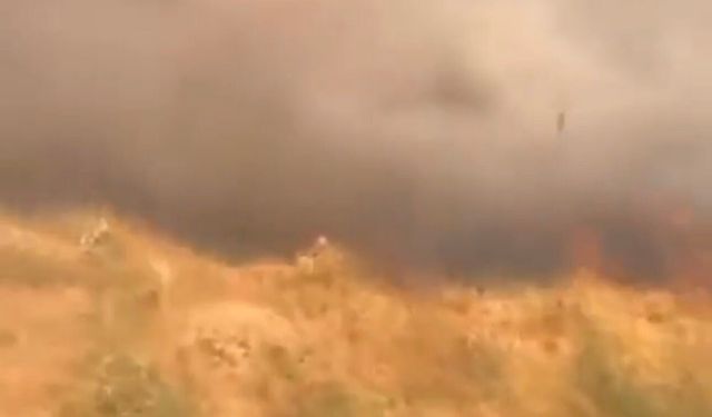Silvan'da Yürek Yakan Yangın: 200 Dönüm Emek Kül Oldu