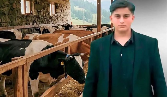 Büyükbaş Hayvanın Darbesi Can Aldı: 16 Yaşındaki Genç Hayatını Kaybetti